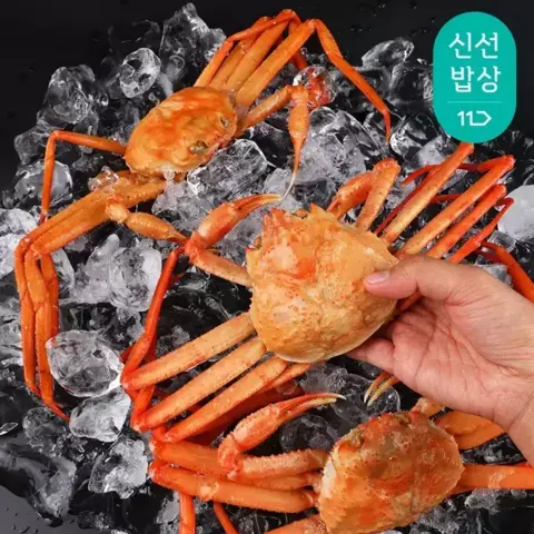 자숙홍게 2kg 7-10마리 수율 85% (19,900원/무료)
