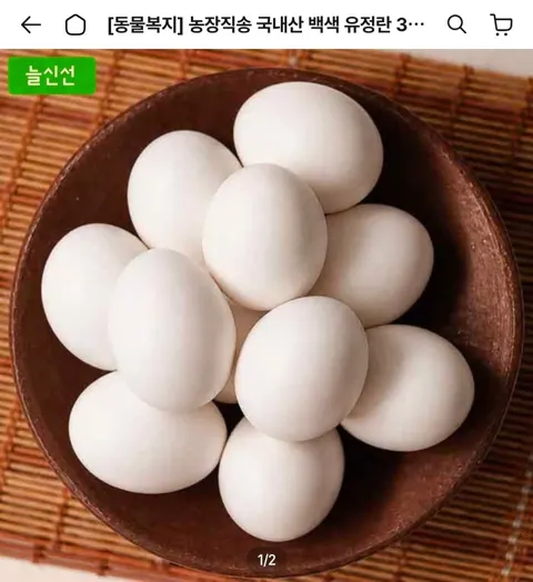 동물복지 유정란 60구 대란