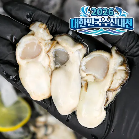 통영 생굴 제철 굴 1kg (8,120원/네멤무료)