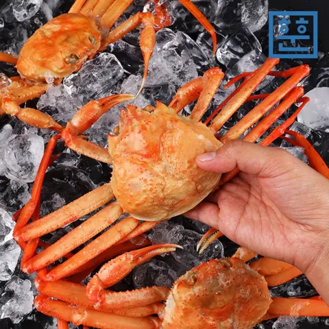 자숙홍게 2kg 7-10마리 (12,460원/네멤무료)