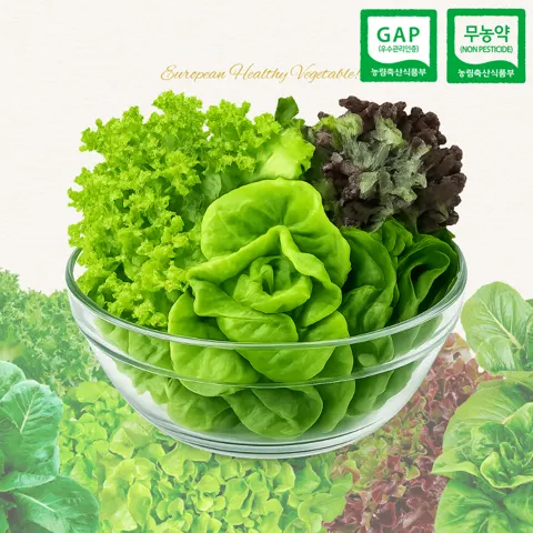 당일수확 무농약 샐러드용 쌈채소 3~5종 믹스 1kg (6,390원/무료)