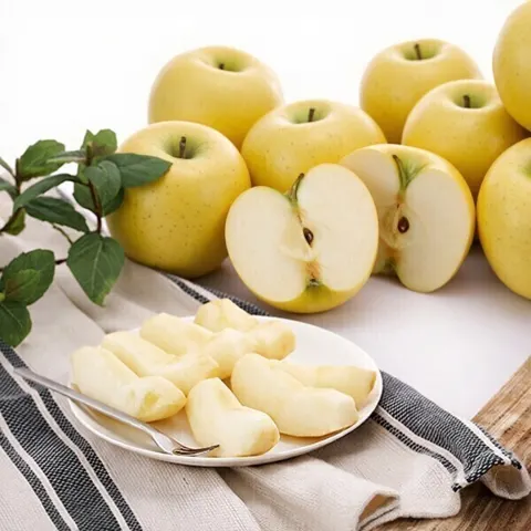 선별 시나노골드 사과 1박스 1.5KG 특등급 (9,270원/무료)