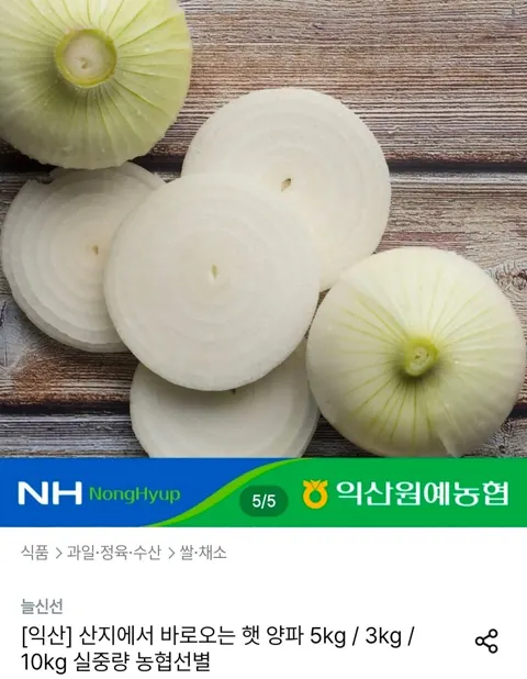 햇양파 특품 5kg 실중량