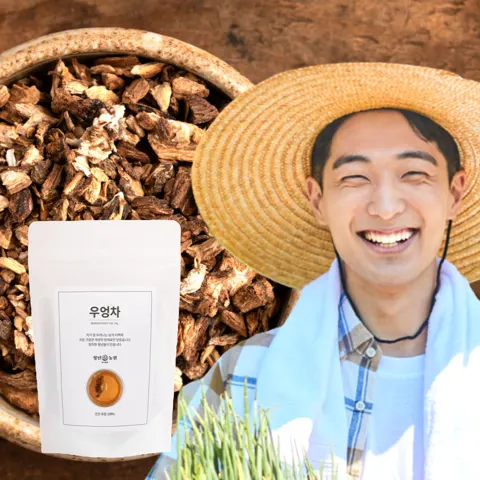 국산 볶은 우엉차 생분해 티백 13,900원