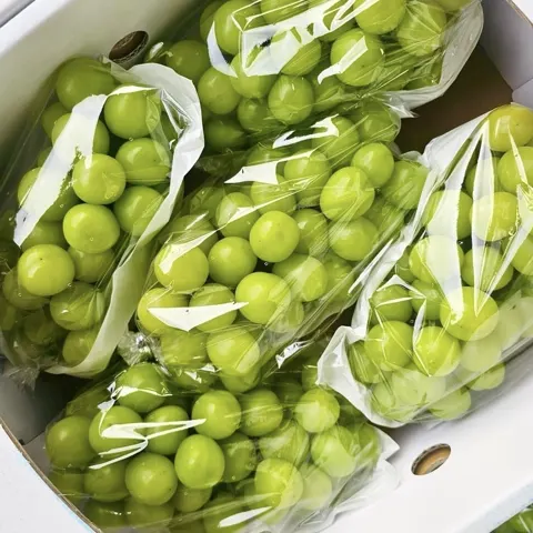 프로프룻 샤인머스켓, 특품, 2kg, 1박스ㅡ9,890원