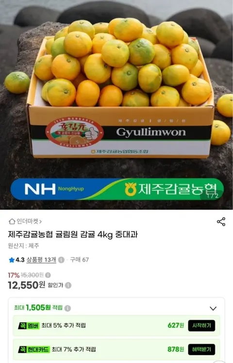 제주감귤농협 귤림원 감귤 4kg (12,550원/무료)