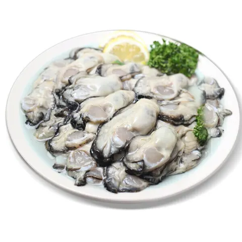 국내산 통영 생굴 1kg (14,280원/무료배송)