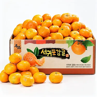 제주직송 타이벡 감귤 4.5kg