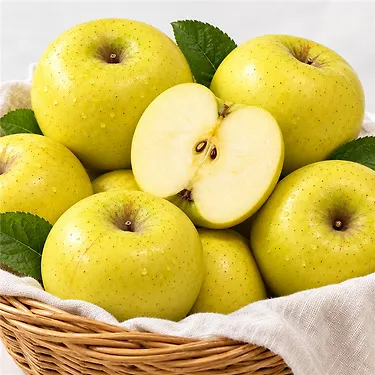 시나노 골드 중소과 가정용 2kg (8,820원 / 무료배송)
