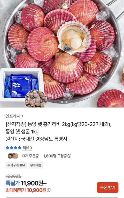 통영 햇 홍가리비 2KG