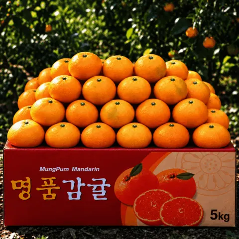 초고당도 감귤 5kg 중 대과 농장직송 (8,970원/무배)