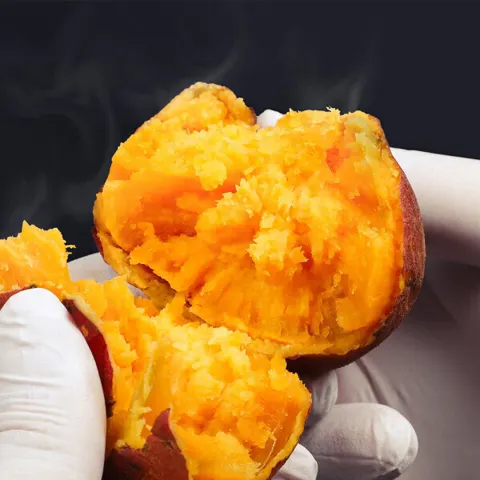 호풍미 호박고구마 5kg