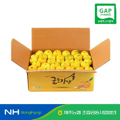 제주농협 노지감귤 4.5kg 로얄과 (12,720원/무료)