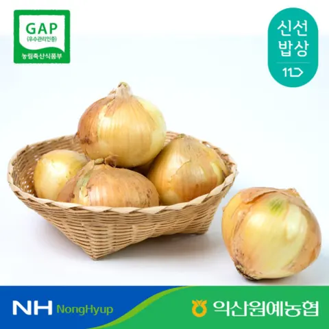 26년 국내산 양파 중대사이즈 5kg