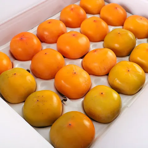 청도 씨없는감 반시 5kg 홍시용 (8,900원/무료)