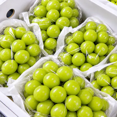 하우스 특품 샤인머스캣 2kg (8,500원/무료)