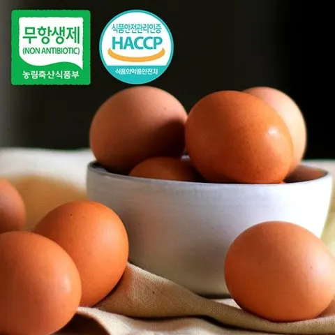 무항생제 난각번호2번 유정란 구운계란 60구 (15,870원/무료)