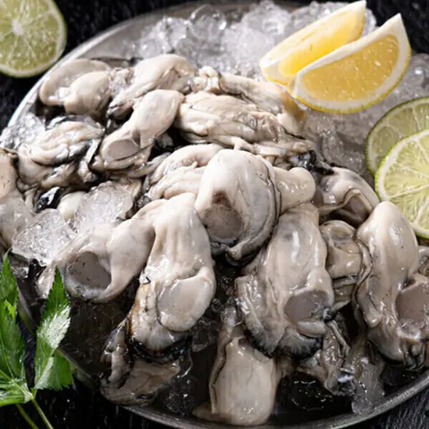 통영 생굴 2kg 산지직송 생굴 회초장 증정 (1kgX2팩) (20,980원/무료)