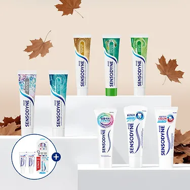 파로돈탁스 치약 100g 6개입및 센소다인 100g 6개입등