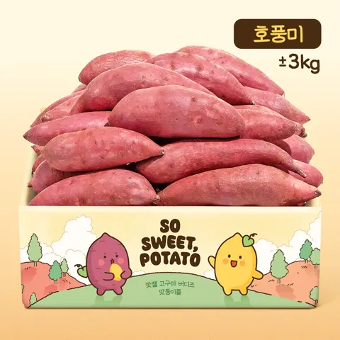 남다른 풍미, 맛둥이 호박고구마 3kg (10,900원, 무료배송)