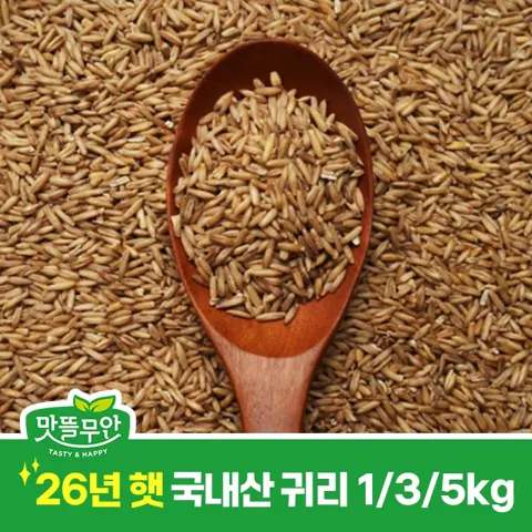 26년산 햅쌀 간척지쌀 10kg 외 전 상품 20% 할인 (28,400원~/무료)