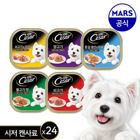 시저 캔 100g 24개 (34,850원/무료배송)