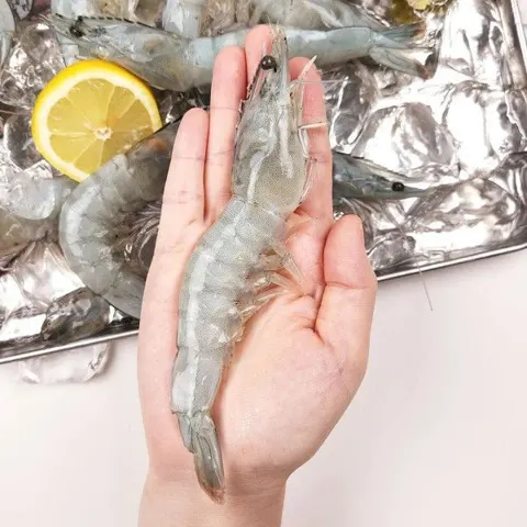 국내산 흰다리새우 1kg 30미 내외