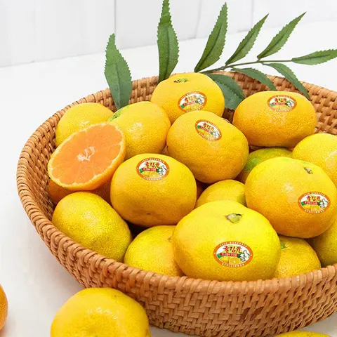 제주감귤농협 귤림원 감귤 4kg 벌크 중대과 (17,400원/무배)