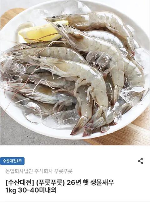 26년 햇 생물새우 1kg