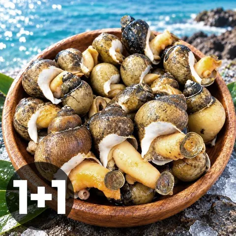 동해안 당일조업 자연산 자숙 골뱅이 400g + 400g (15,900원/무료)