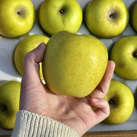 경북 시나노골드 황금사과 5kg 소과 (13,560원/무료)