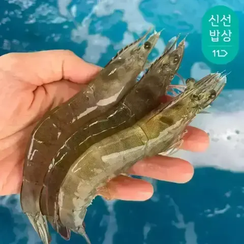 국내산 흰다리새우 생물 1kg 34-37미 (신한15,410원 / 무료)
