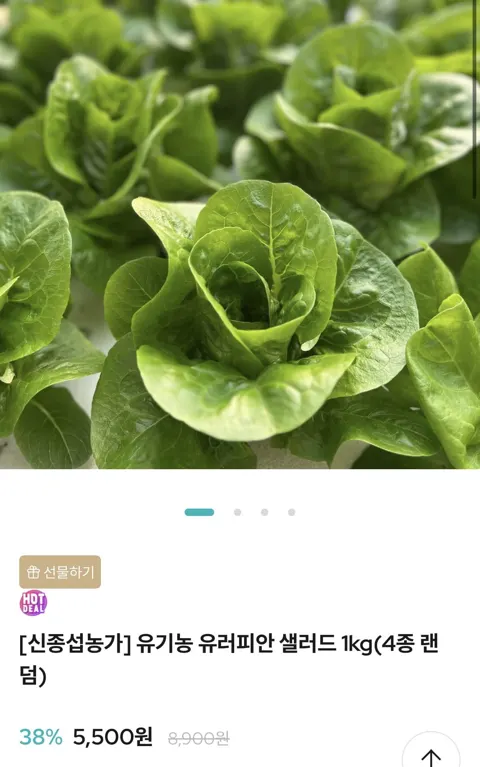 유기농 유러피안 샐러드 1kg(4종 랜덤) (5,500원/무료)