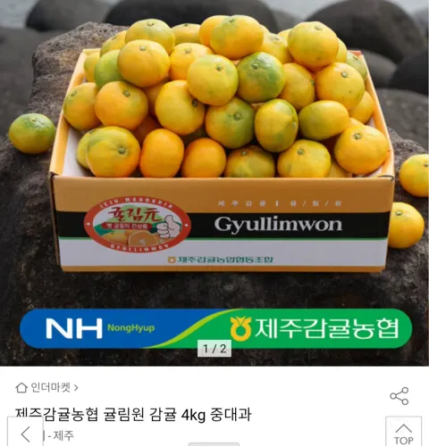 제주감귤농협 귤림원 감귤 4kg 중대과