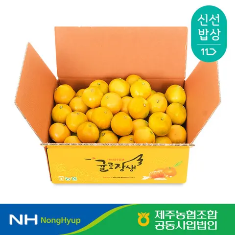 제주농협 귤로장생 하우스감귤 2.5kg 소과 (10,930원/무배)