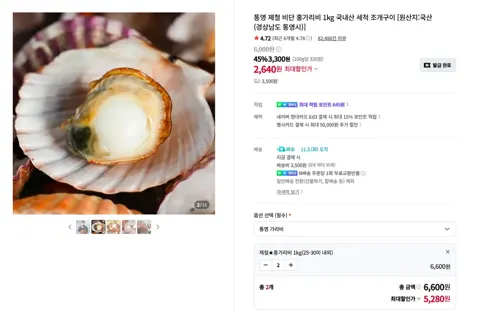 통영 제철 홍가리비 2kg