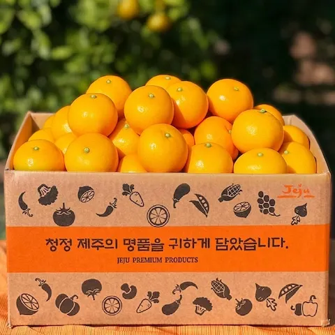 제주 타이벡 감귤 2.5kg (6,399원/무료)
