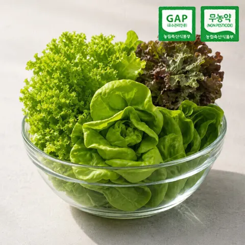 GAP 무농약 부여 유러피안 샐러드 유럽 채소 1kg (7,780원/무료)