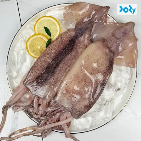 자연산 손질 통오징어 1.1kg (16,380원/무료)
