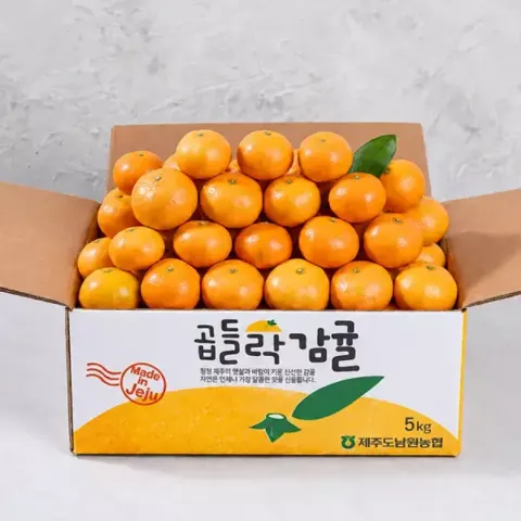 제주남원농협 노지 감귤 4.5kg 소과 (9,720원/무료)