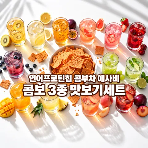 콤부차 하이볼 연어프로틴칩 3종 세트 (14,800원/무료)