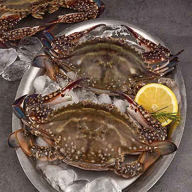 연평도 활 암꽃게 2kg 10-12미 (27,810원/무료)