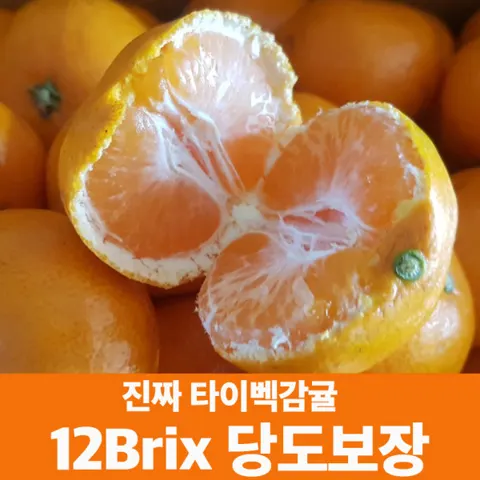 타이벡 12브릭스 감귤 5kg 로얄과 2s-m (농협카드)