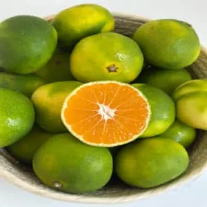 제주산 극조생 햇 감귤(로얄과) 5kg(S-M) (9,730원/무료)